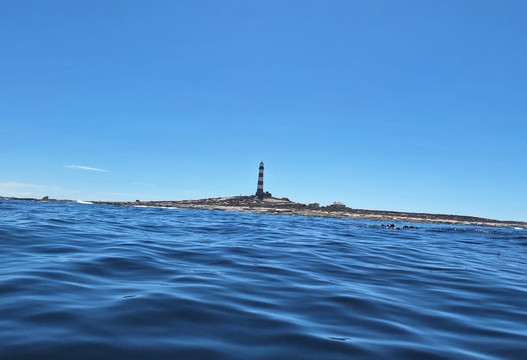 Cape Coast Expeditions-Yzerfontein必去景点