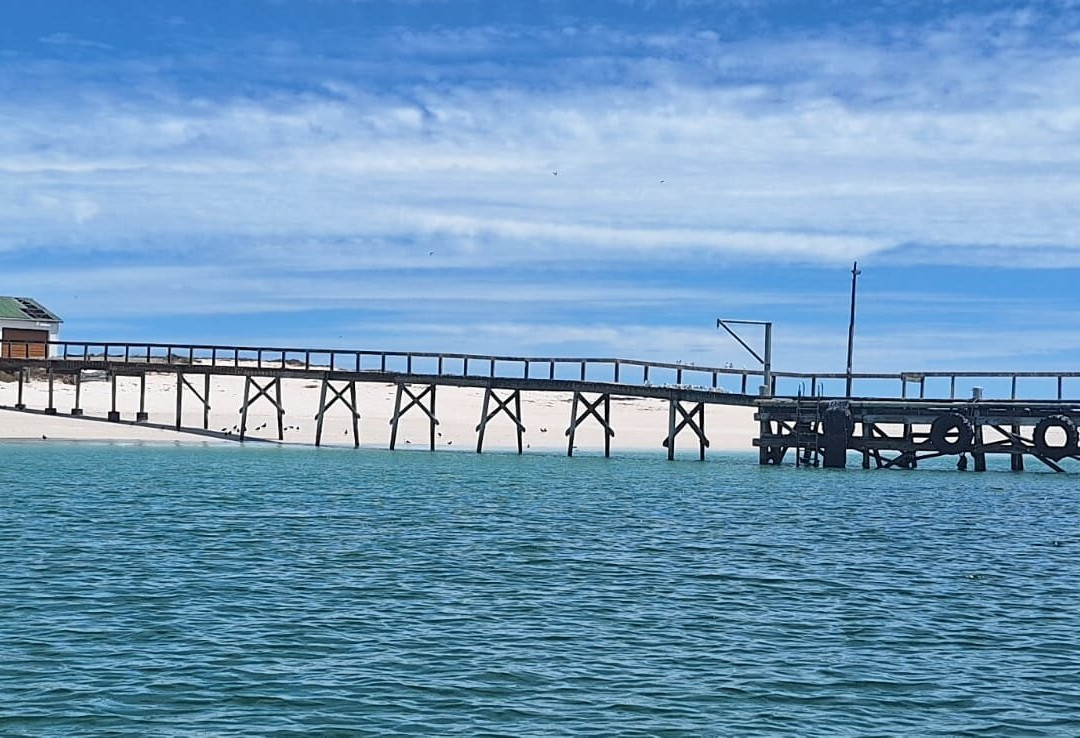 Cape Coast Expeditions-Yzerfontein必去景点