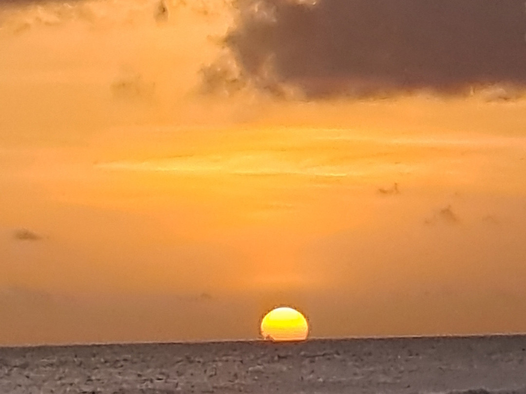 Southern Surf Beach Apartments主图