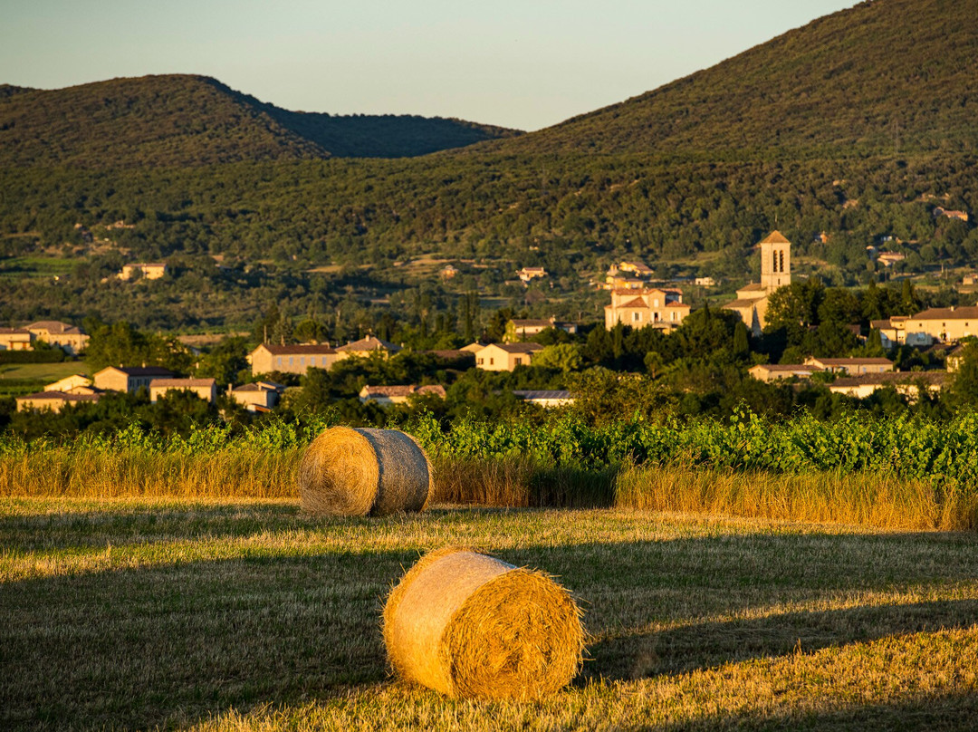Caveau de Jalès-Berrias et Castejau必去景点