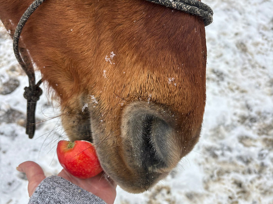 Del's Triangle 3 Ranch-Clark必去景点