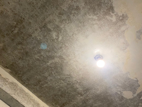 New Ella Nature View