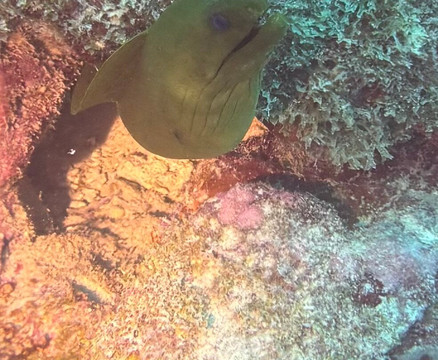 Red Sail Sports Aruba-奥腊涅斯塔德必去景点