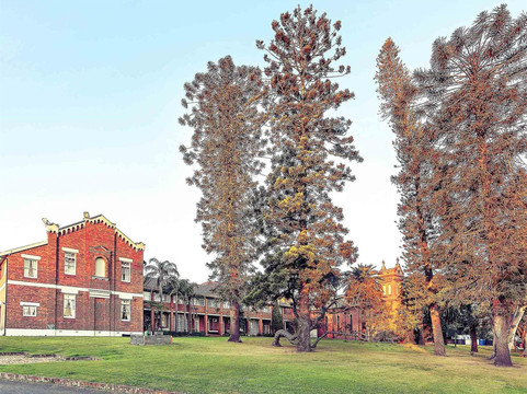 梅特兰蒙皮奥美居酒店主图