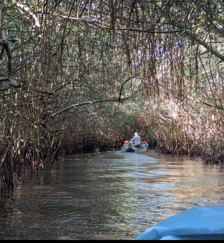 Mystic Embrace-Chacala必去景点