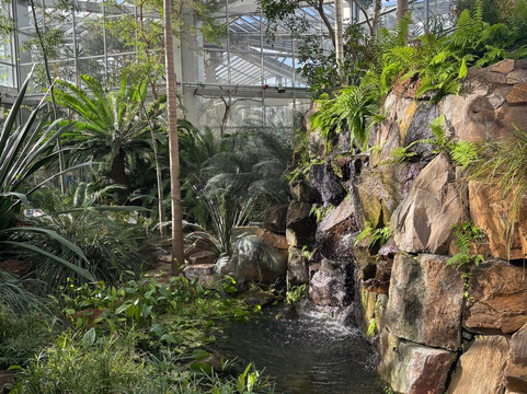 棕榈树公园-法兰克福必去景点