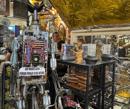 Disneylandia dos Robos-塞拉内格拉必去景点