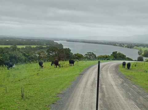 Two Figs Winery-Shoalhaven必去景点