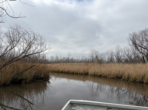 Ragin Cajun Airboat Tours-新奥尔良必去景点