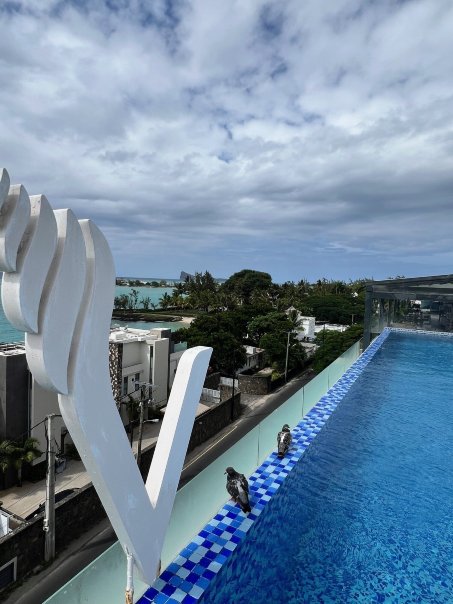 海洋V酒店-毛里求斯-泳池