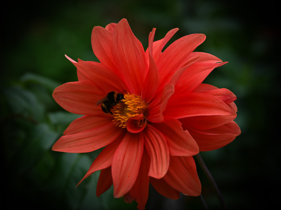 萨多勒里乡村别墅主图