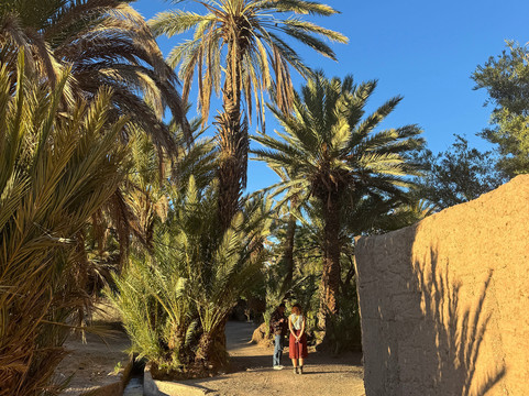 amrdouz SKOURA VTT excursions-Skoura必去景点