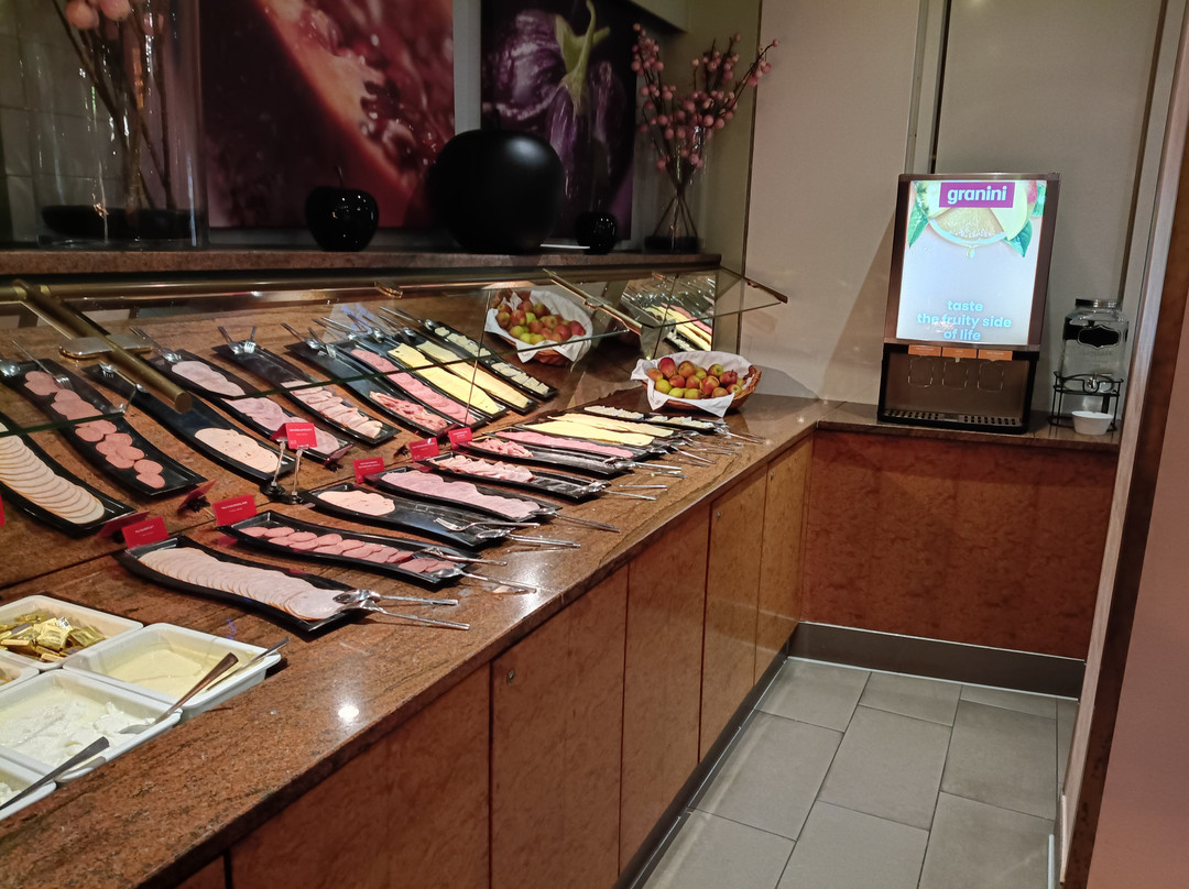 科隆波恩机场莱昂纳多酒店主图