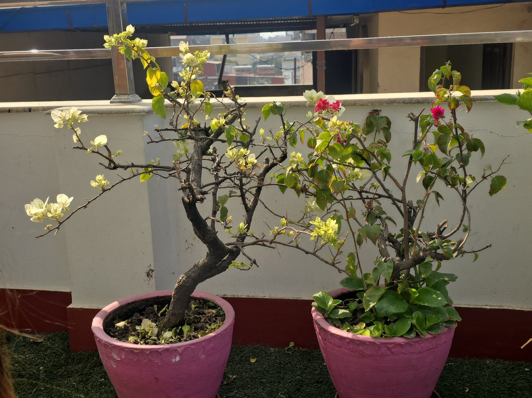 阿瓦塔加德满都酒店主图