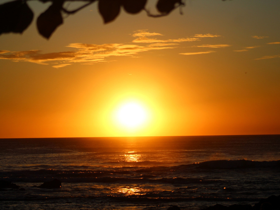 Playa Langosta-Playa Langosta必去景点