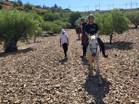 Club Hipic El Camp-Llanca必去景点