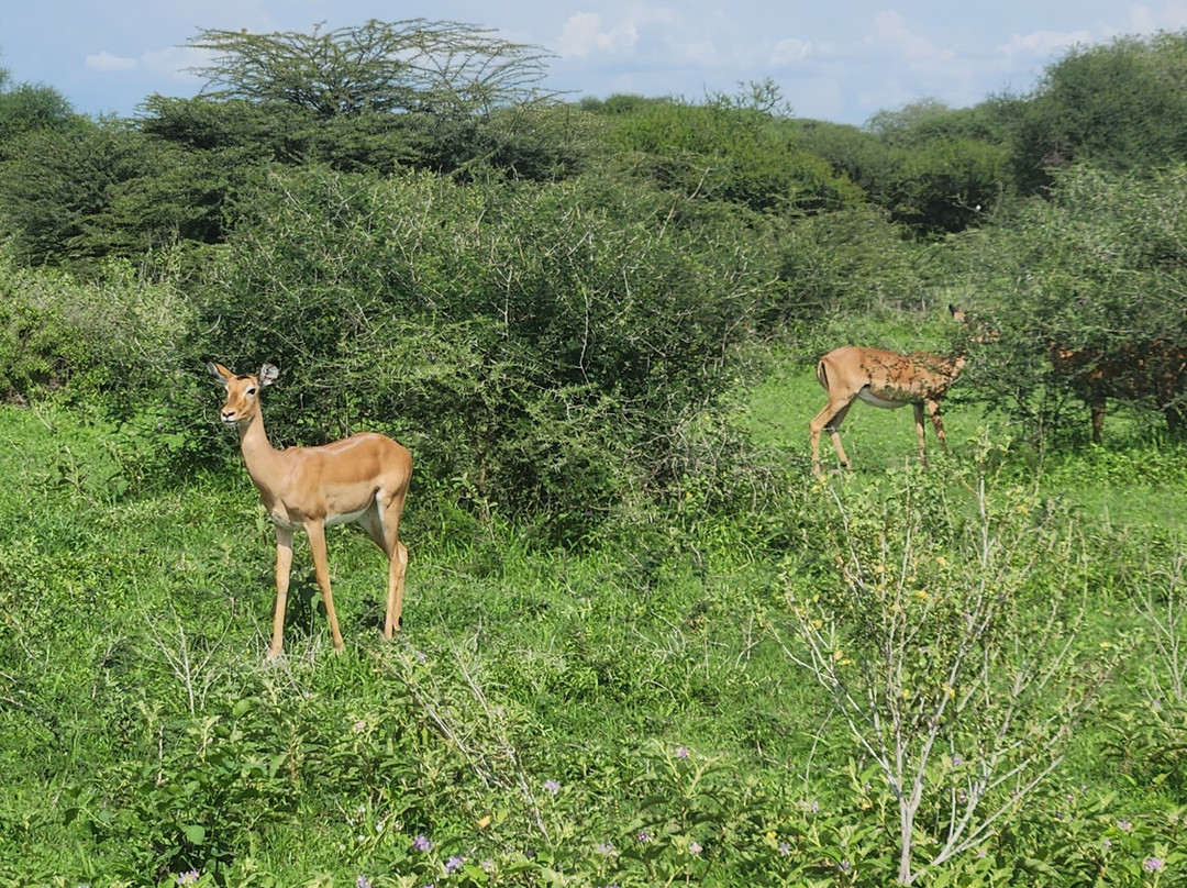 Altezza Travel-莫西必去景点