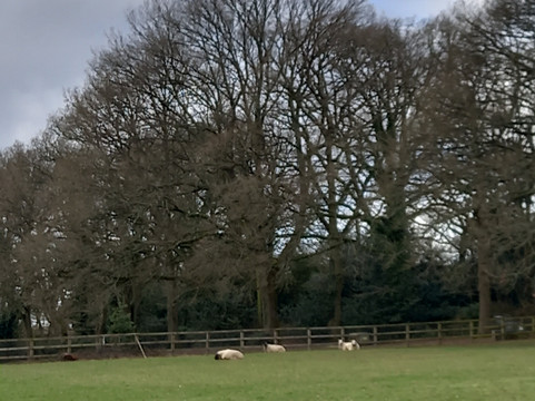 The Clock Tower-艾尔斯伯里必去景点