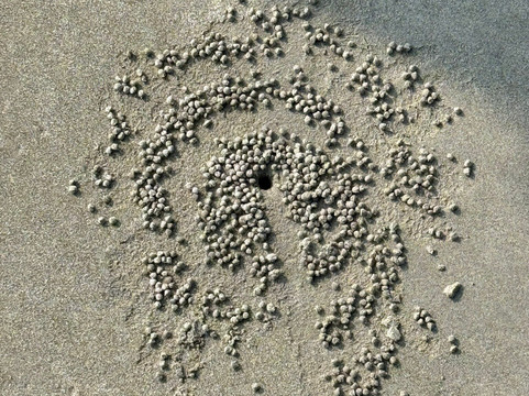 NomadicTribes | Andaman-Swaraj Dweep必去景点