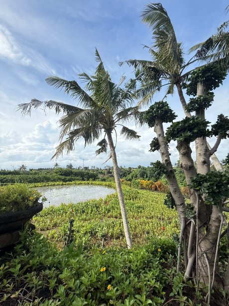 天鹅天堂普拉玛纳体验酒店-官方