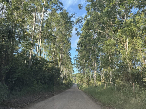 Morro Grande-Rolante必去景点