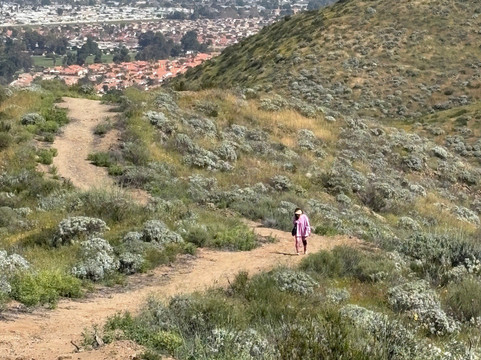 Diamond Valley Lake Visitors Center-赫米特必去景点