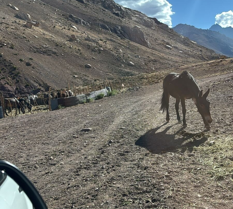 Andesport Expeditions-印加桥必去景点