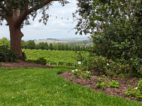 Mystery Adventures-墨尔本必去景点