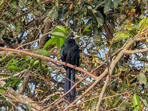 Panama Road Trips-巴拿马城必去景点