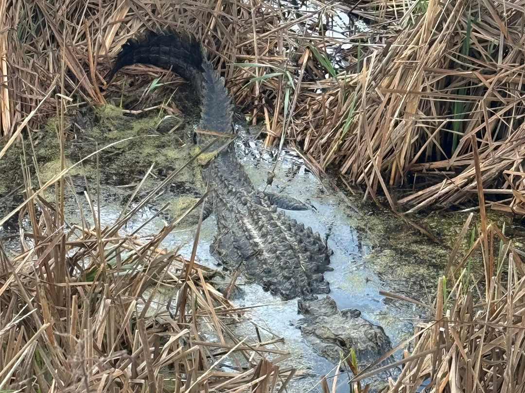 Bulls Island Ferry-Awendaw必去景点
