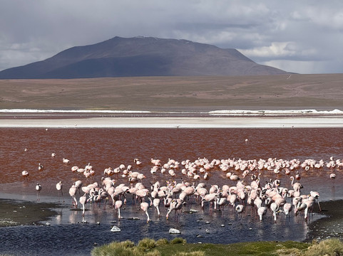 sajama expediciones-圣佩德罗-德阿塔卡马必去景点