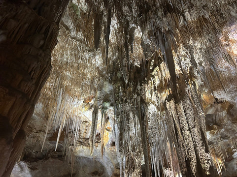 Tantanoola Caves Conservation Park-Tantanoola必去景点