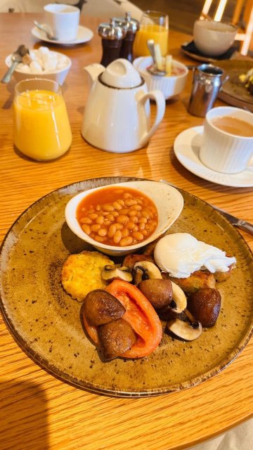 规则霍尔的羊毛旅馆-官方