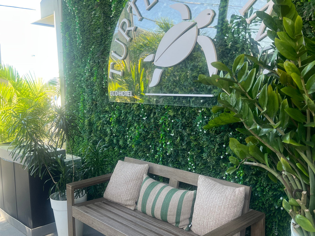 海龟湾住宿加早餐旅馆主图