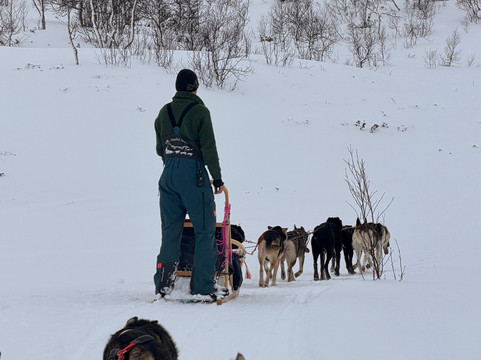 Haukeli Husky-Rauland必去景点