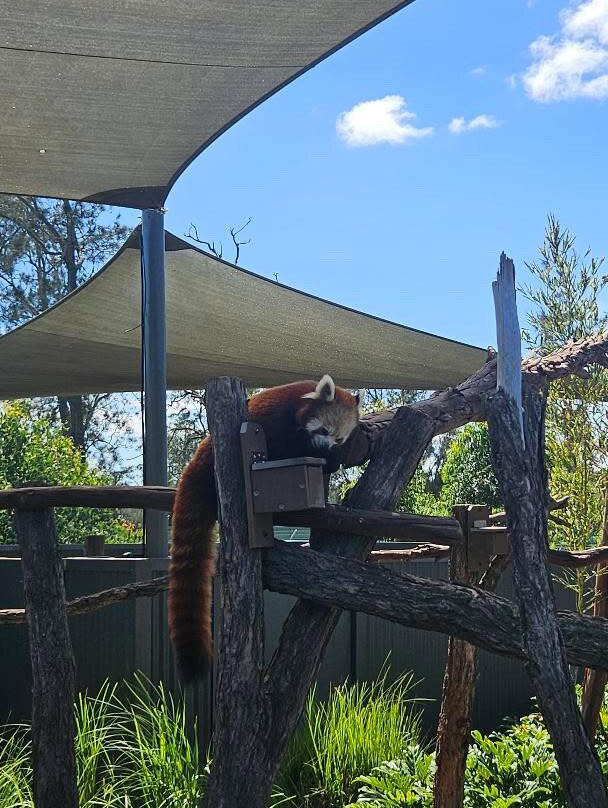 Oakvale Wildlife Park-威廉斯顿必去景点