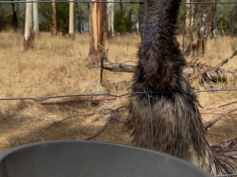 Softfoot Farm & Wildlife Park-Hindmarsh Valley必去景点