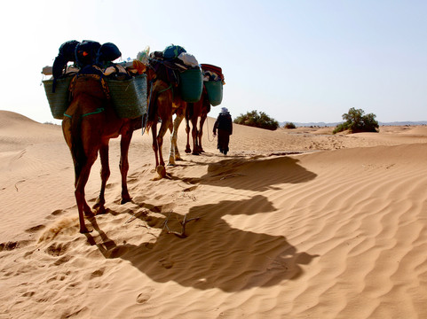 Sahara Steps-扎古拉必去景点