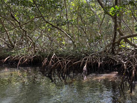 Alizes Adventure-Sainte Rose必去景点