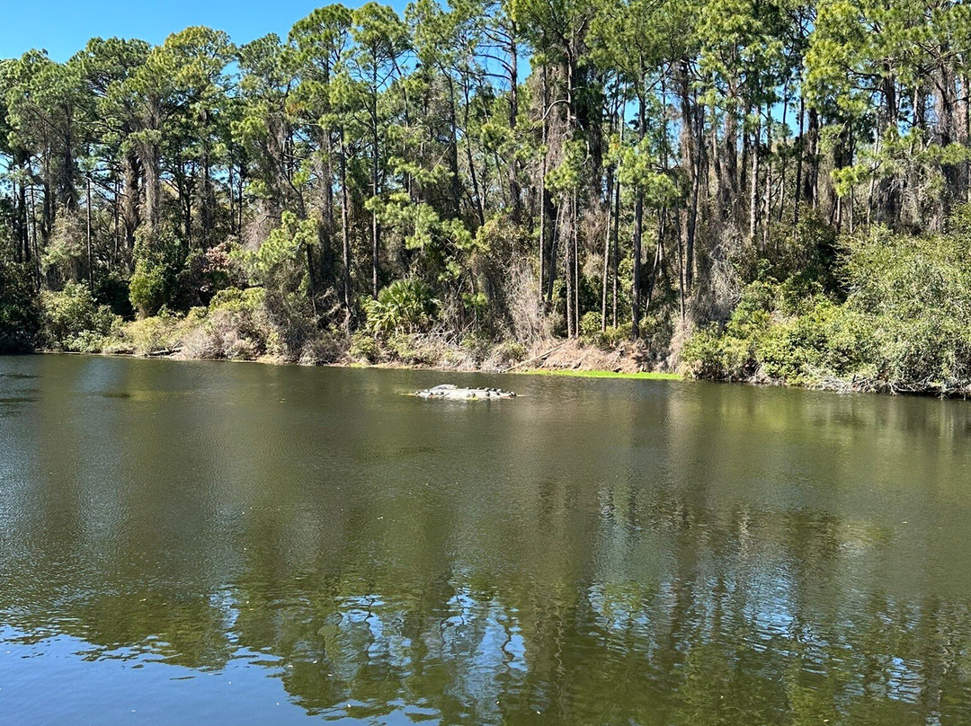 Horton Pond-吉柯岛必去景点