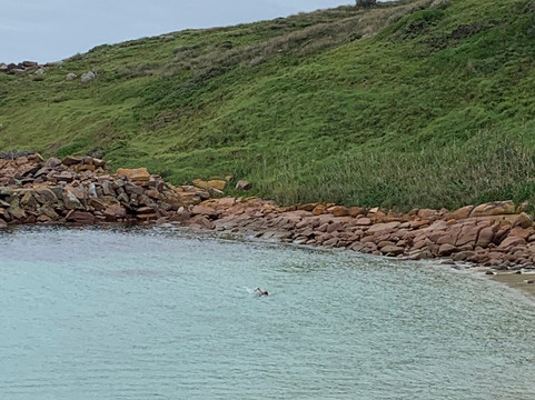 Gabo Island-Mallacoota必去景点