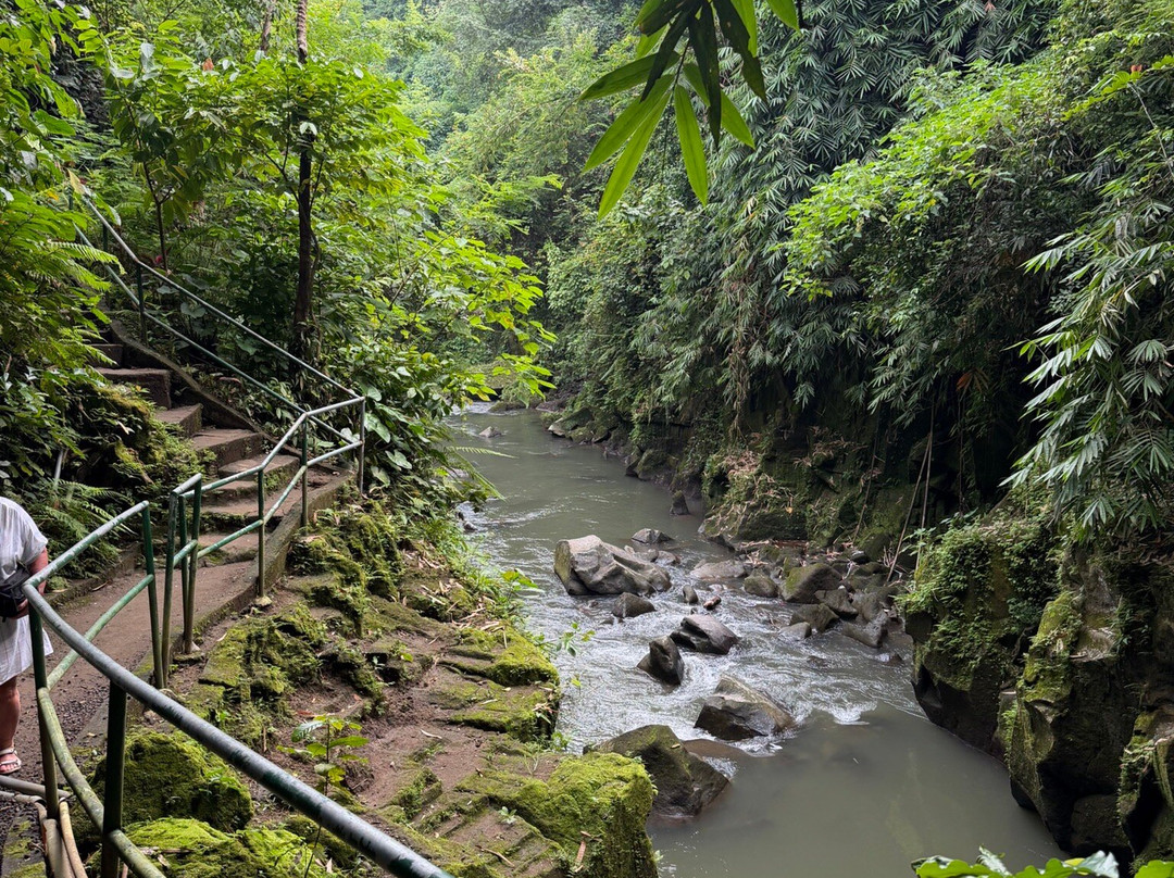 Temesi Waterfall-吉安雅必去景点