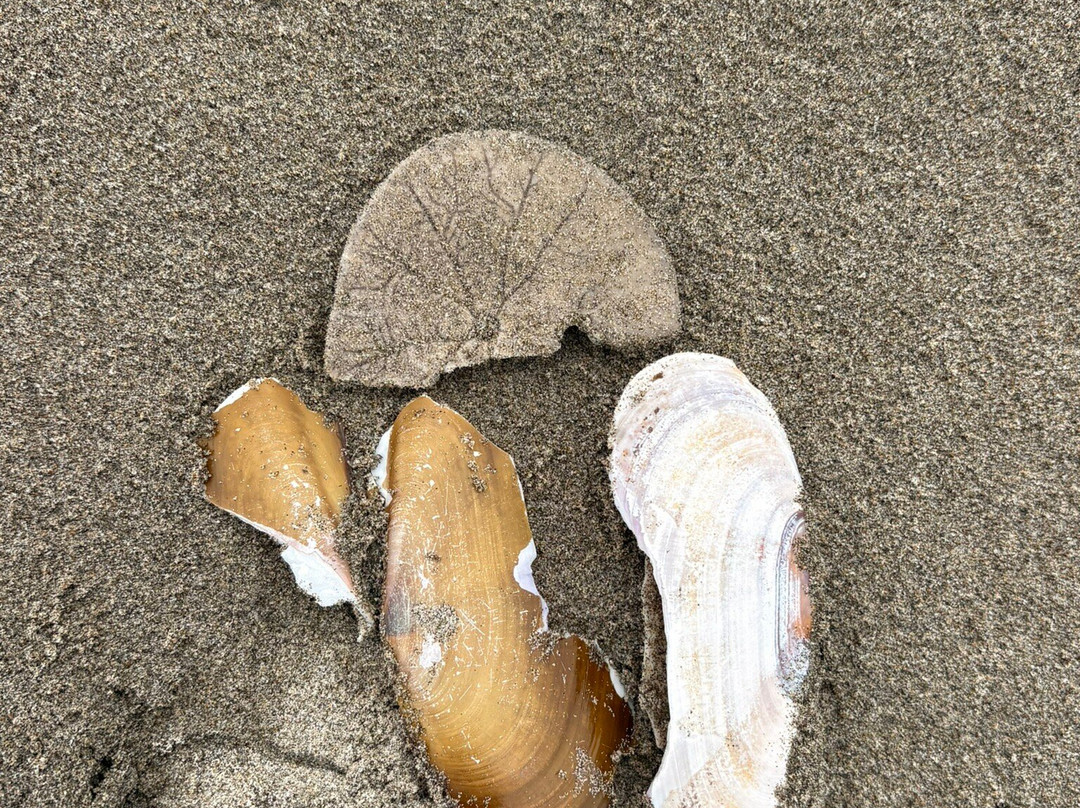 Seaside Beach Oregon-锡赛德必去景点