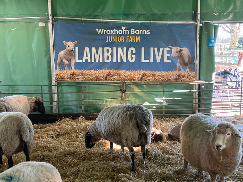 Wroxham Barns-Hoveton必去景点