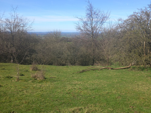 Coombe Hill-艾尔斯伯里必去景点