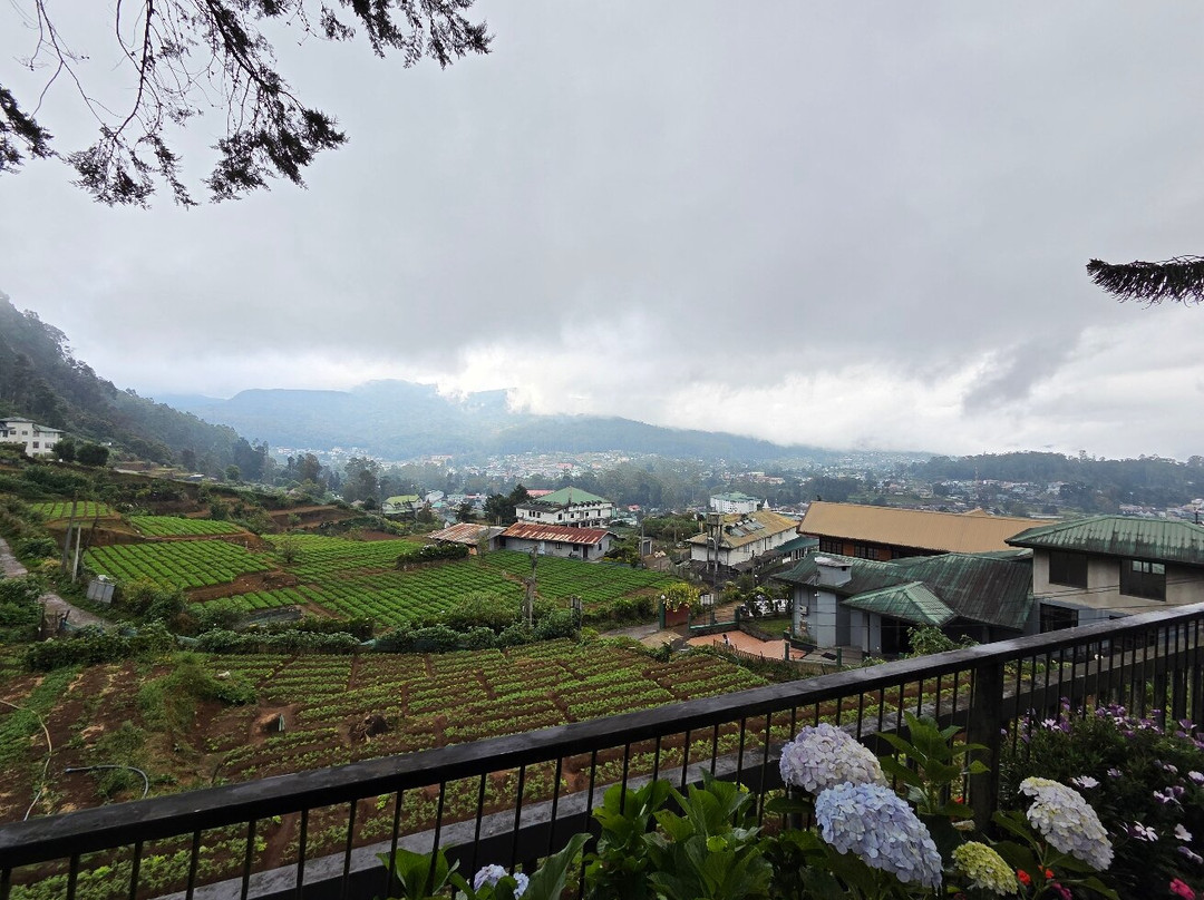 Lanka Classy Tours-凯拉尼亚必去景点