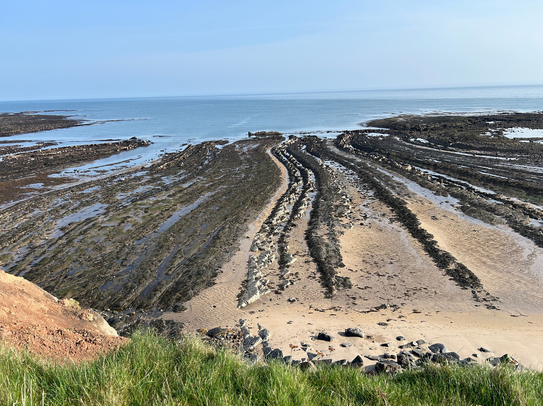 Berwick Visitor Centre-特威德河畔贝里克必去景点