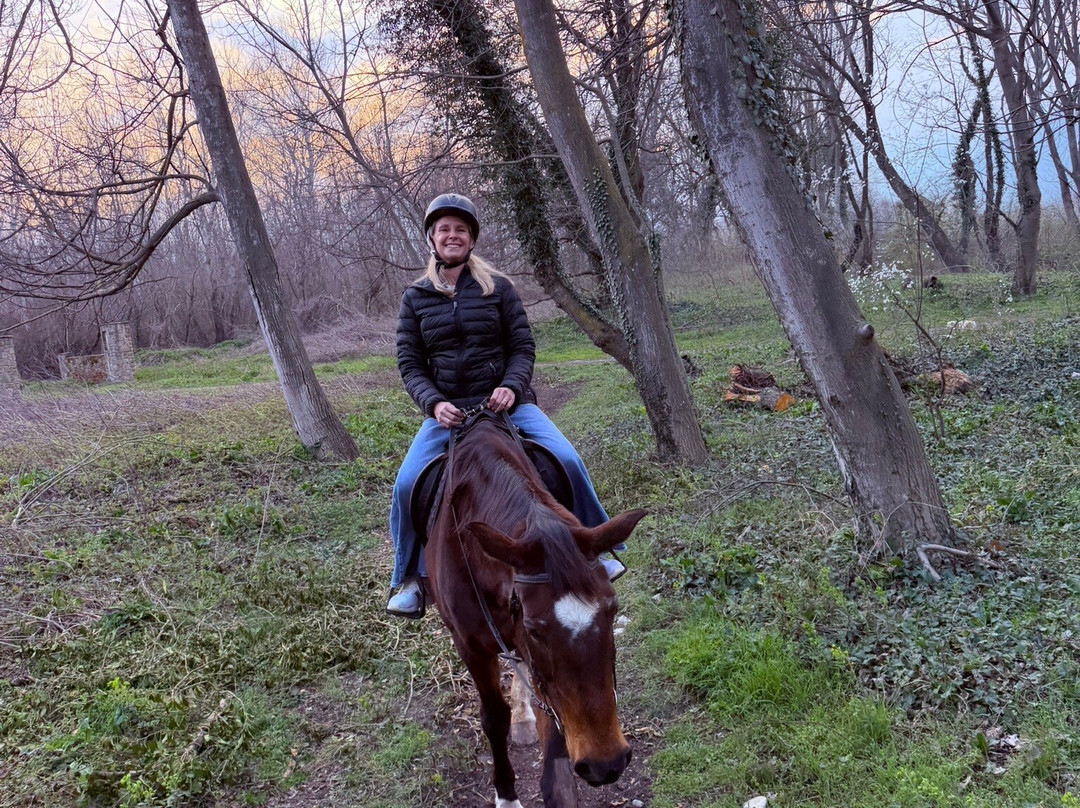Ranch Manippos Pozar-Aridaia必去景点