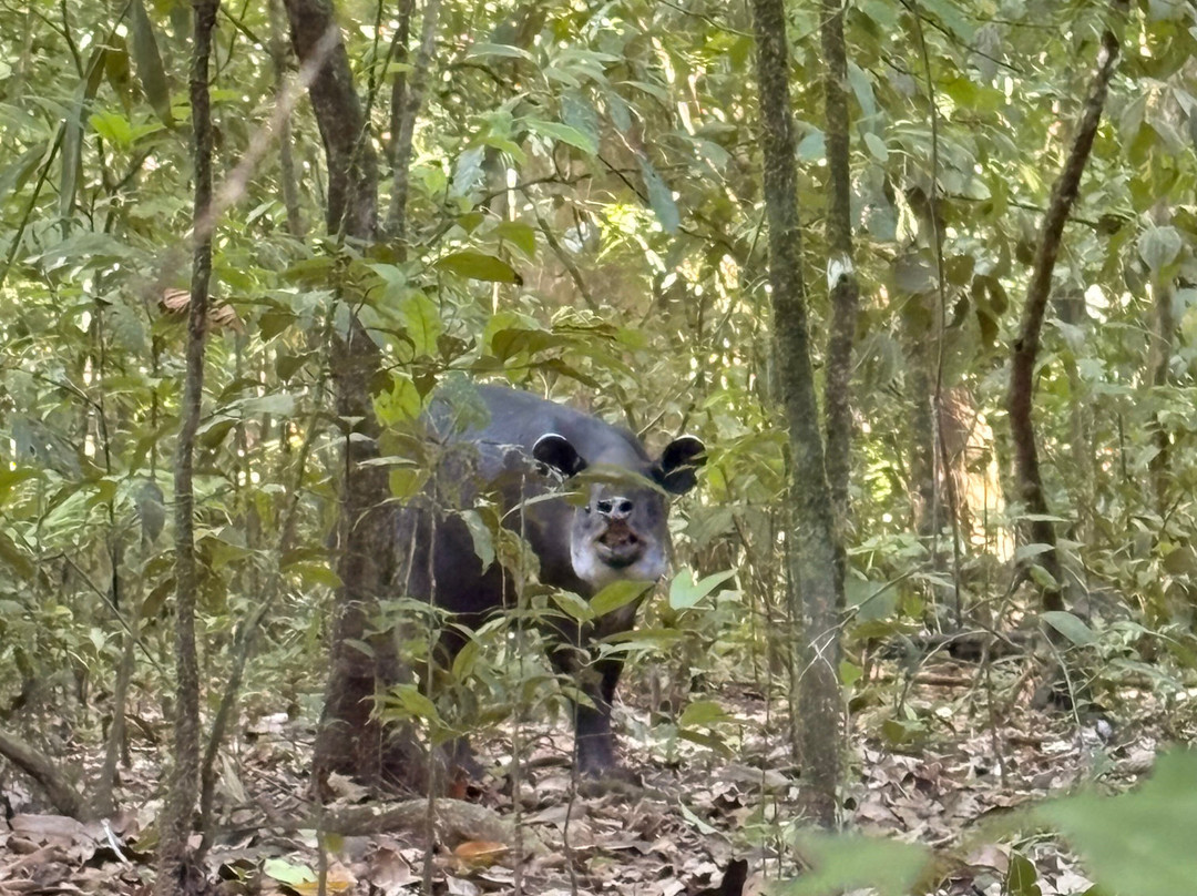 Sukia Travel-德雷克湾必去景点