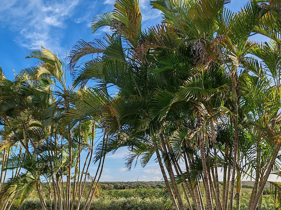拉克里斯汀酒店主图